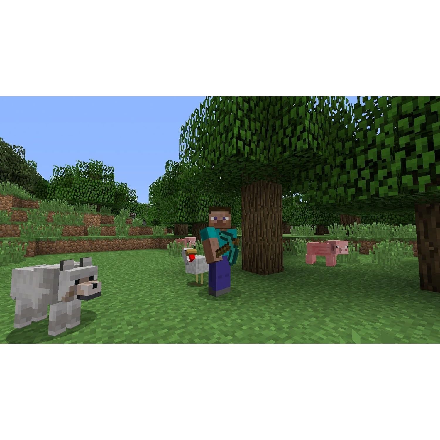 Buy PlayStation,Minecraft - PS4 Game - Gadcet UK | UK | London | Scotland | Wales| Near Me | Cheap | Pay In 3 | Video Game Software